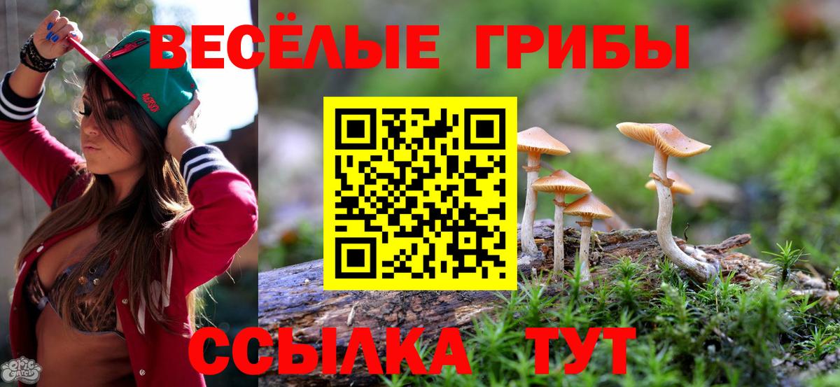 Галлюциногенные грибы GOLDEN TEACHER Ростов-на-Дону