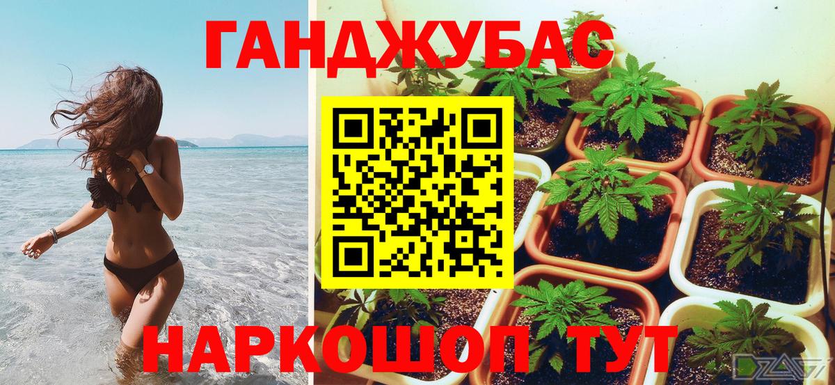 Шишки марихуана планчик  Бошки марихуана семена  Ростов-на-Дону  Вход с VPN 